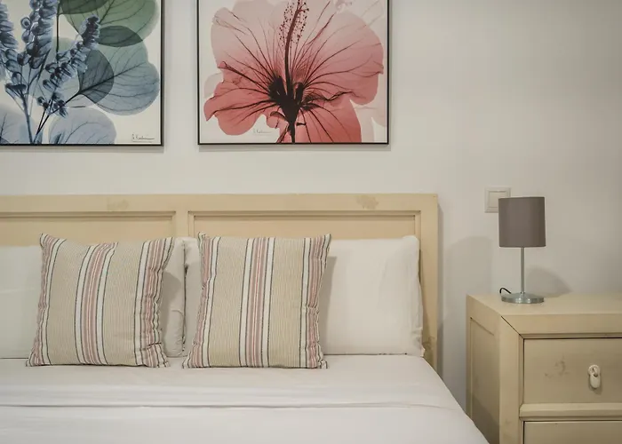 Cozy & Centric- 1Bd 1Bth- Salamanca
