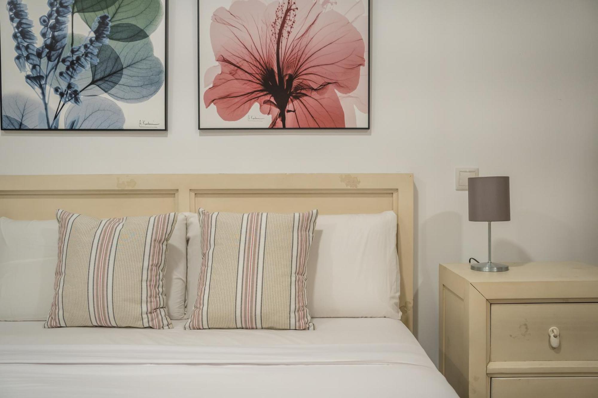 Cozy & Centric- 1bd 1bth- Salamanca Apartment