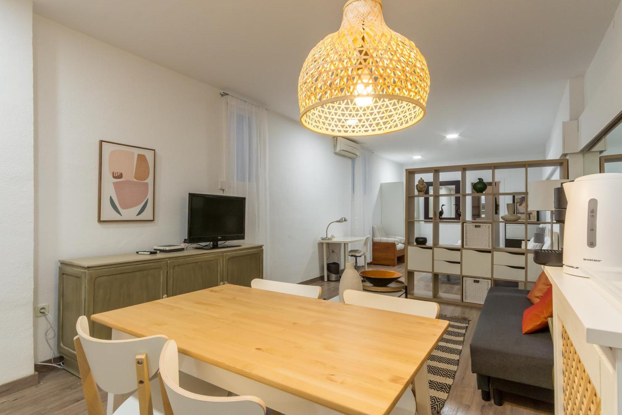 Apartment Cozy & Centric- 1bd 1bth- Salamanca *